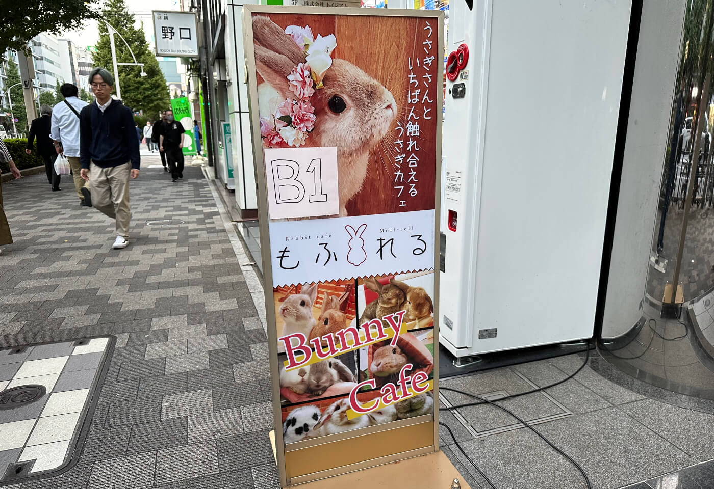 Avlång skylt på en trottoar med flera bilder på kaniner och texten "B1 Bunny Cafe".