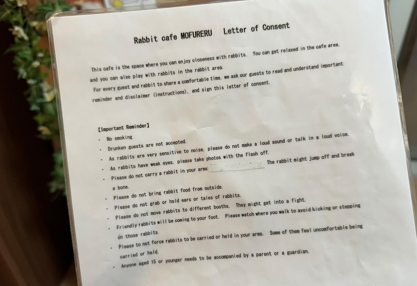 Inplastat vitt papper med många regler att tänka på för att besöka kaninkaféet. Exempelvis ska man inte vara högljudd.