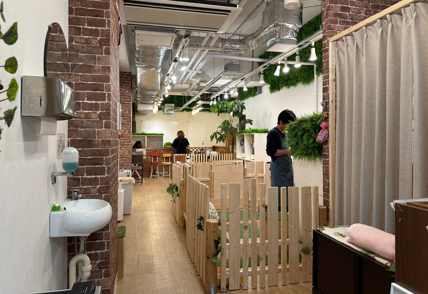 Ljust källarrum med murbruk, gröna plastplantor och flera inhängnader där kaniner finns.
